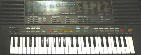 Yamaha 280 "Mr Solid" I have actually played gigs with just this. Very functional.